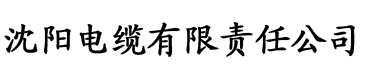 亚洲欧美中文日韩v在线观看电缆厂logo